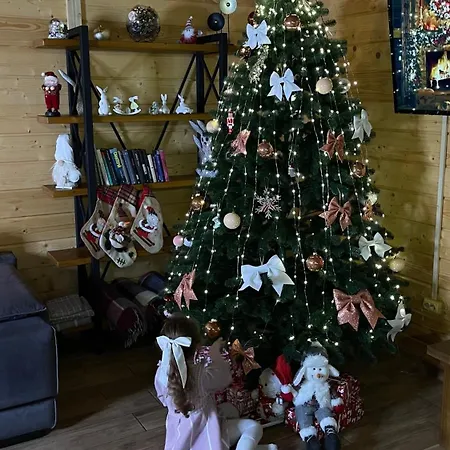 перлина буковини 別荘 Lipovans