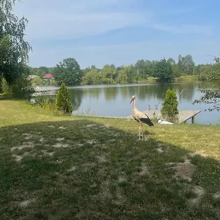 перлина буковини Holiday home Lipovans