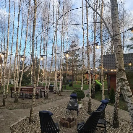 перлина буковини 別荘 Lipovans