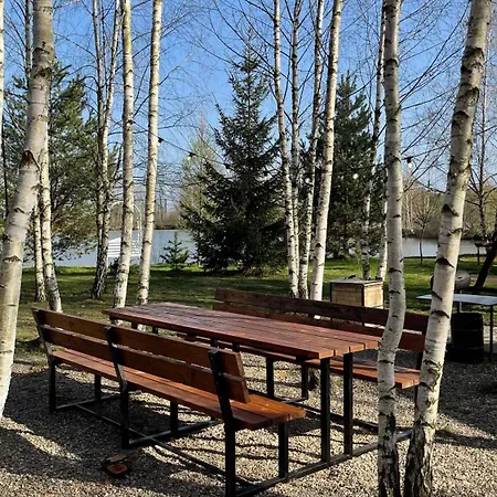 перлина буковини 別荘