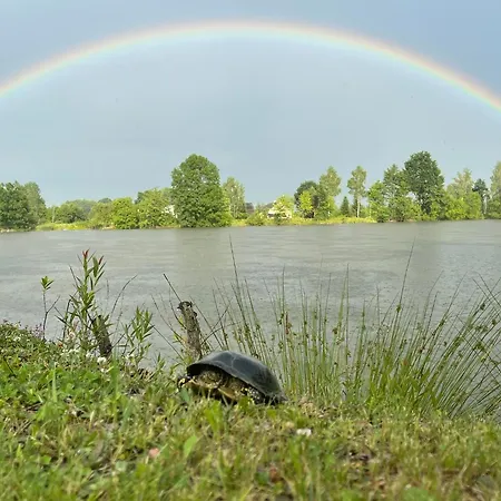 перлина буковини Holiday home Lipovans