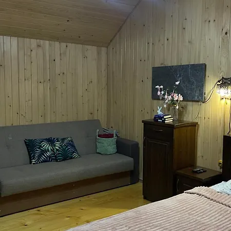 Semesterbostad перлина буковини