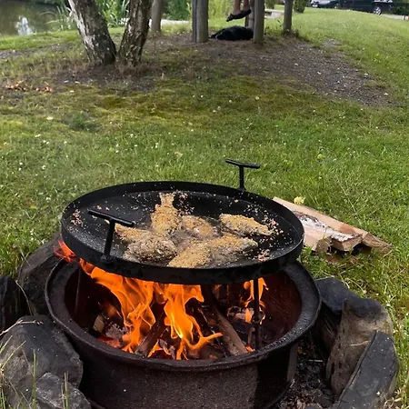 別荘 перлина буковини