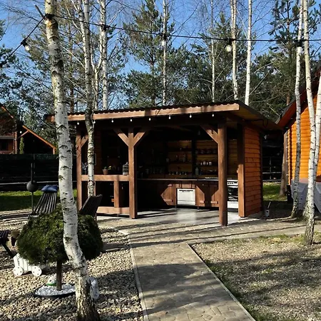 перлина буковини 別荘 Lipovans