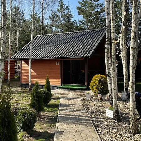 перлина буковини Holiday home *