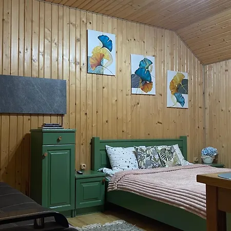 перлина буковини Semesterbostad Lipovans